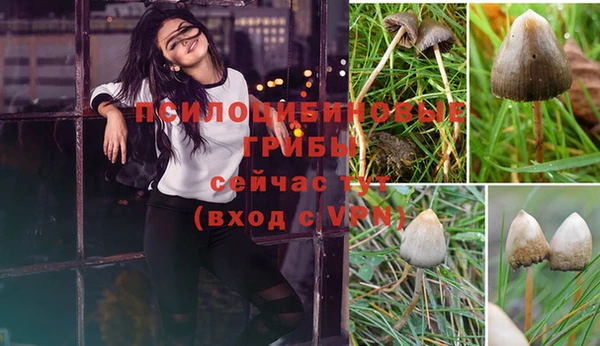 твердый Нязепетровск