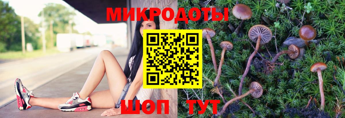 Саратов  Галлюциногенные грибы GOLDEN TEACHER  сколько стоит  Псилоцибиновые грибы Cubensis  Вход с VPN 
