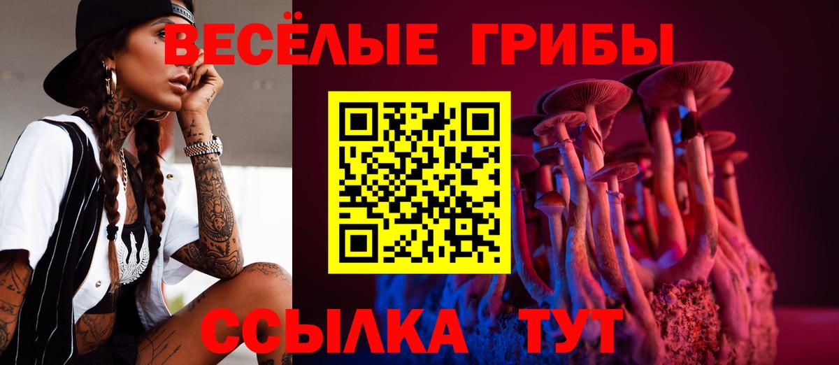 Галлюциногенные грибы Psilocybe  Галлюциногенные грибы мицелий  Саратов 